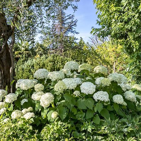 B&B Villa Adriano Дезенцано-дель-Гарда Экстерьер фото